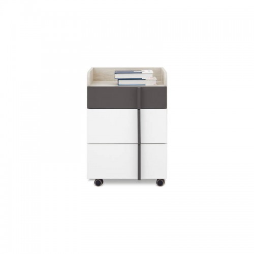 Datorgalda konteineris REMO 11